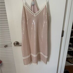 Taylor Sequin Dress in Blush